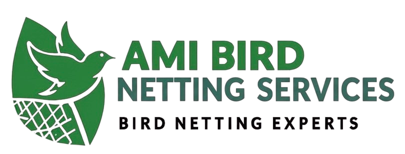 1D30C8F0-B569-48A4-AD40-E5138D795E72_4_5005_c-removebg-preview